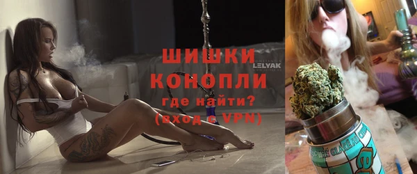 твердый Магас