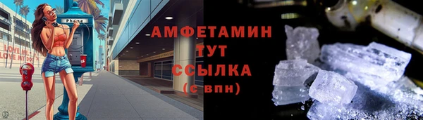 ГАЛЛЮЦИНОГЕННЫЕ ГРИБЫ Аркадак