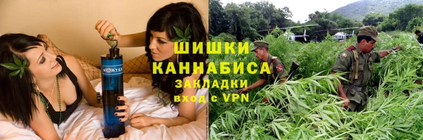 стаф Балахна