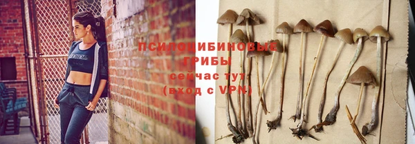 стаф Балахна