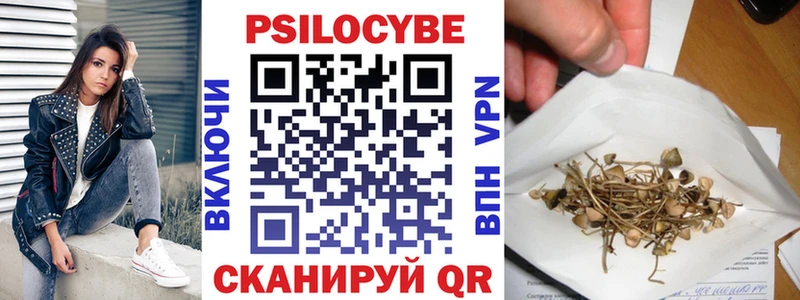 купить наркотики цена  Новомосковск  блэк спрут зеркало  Псилоцибиновые грибы Cubensis 