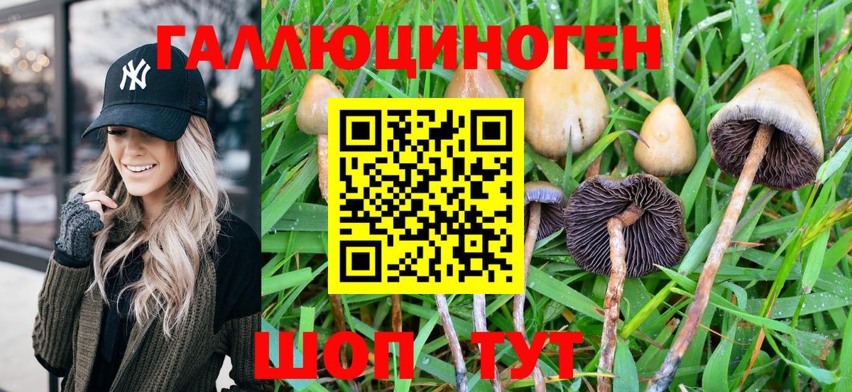 Псилоцибиновые грибы GOLDEN TEACHER Новомосковск
